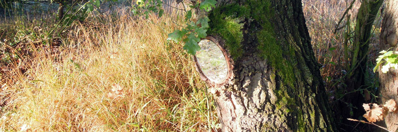 jinakrajina