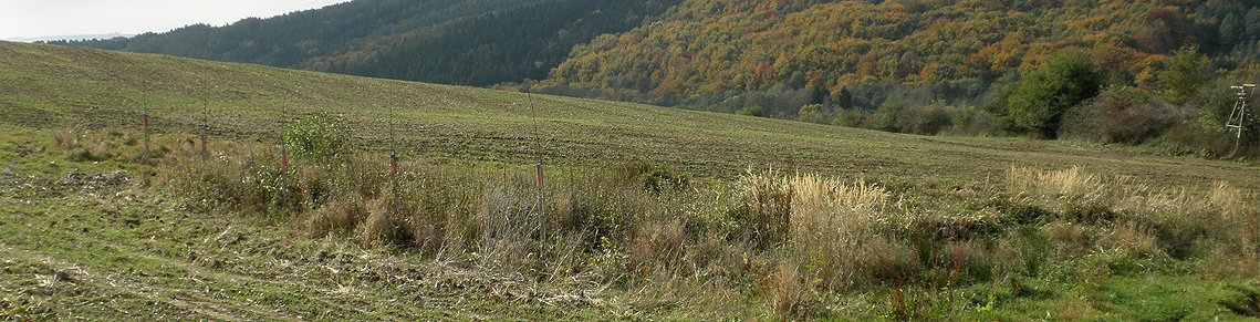 Jina krajina
