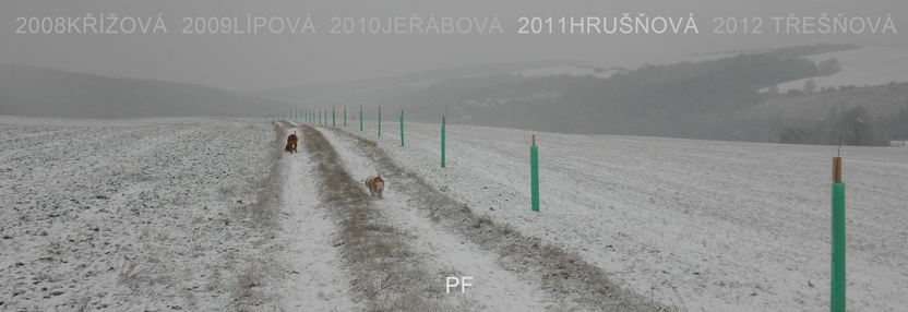 jina krajina